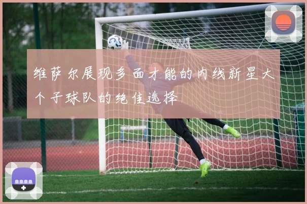 维萨尔展现多面才能的内线新星大个子球队的绝佳选择