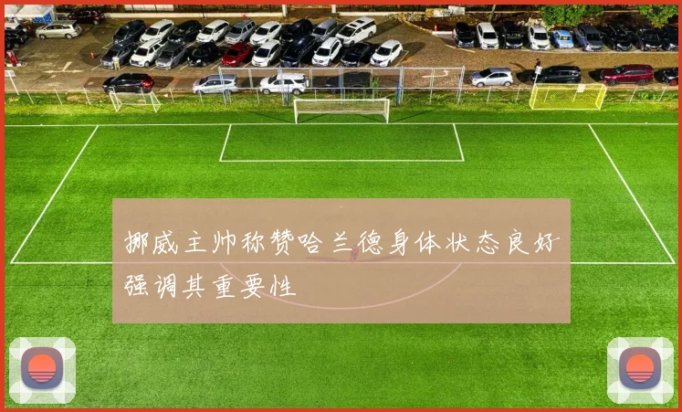 挪威主帅称赞哈兰德身体状态良好强调其重要性