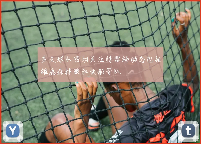 多支球队密切关注特雷杨动态包括雄鹿森林狼和快船等队